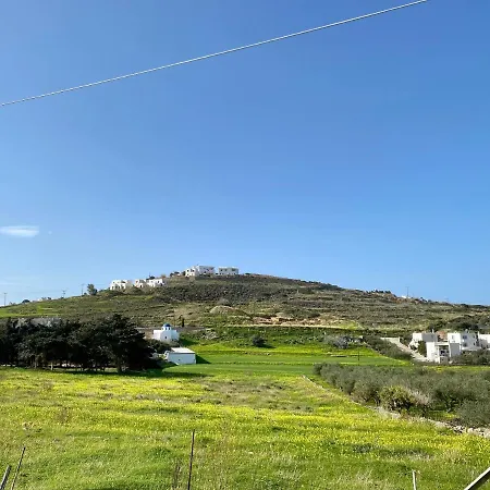Olive House