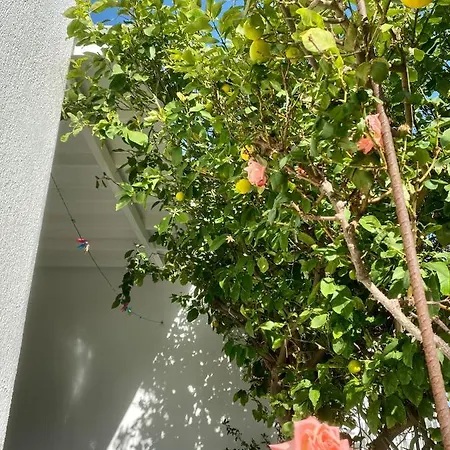 Διαμέρισμα Olive House