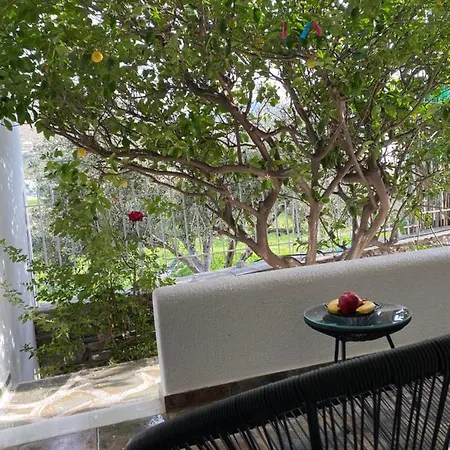 Olive House * Parikia (Paros)